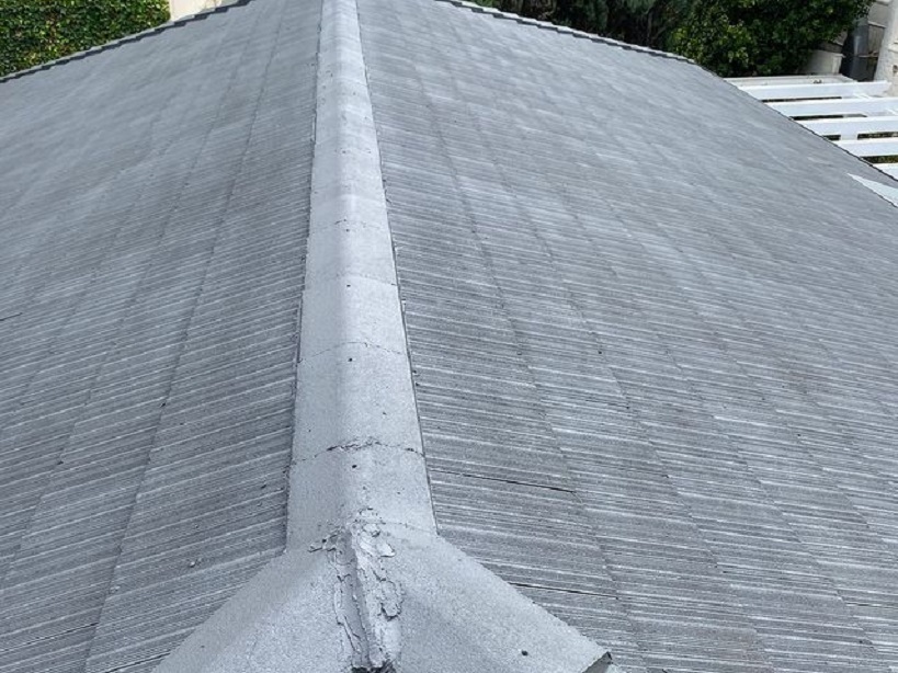 roof painting services
